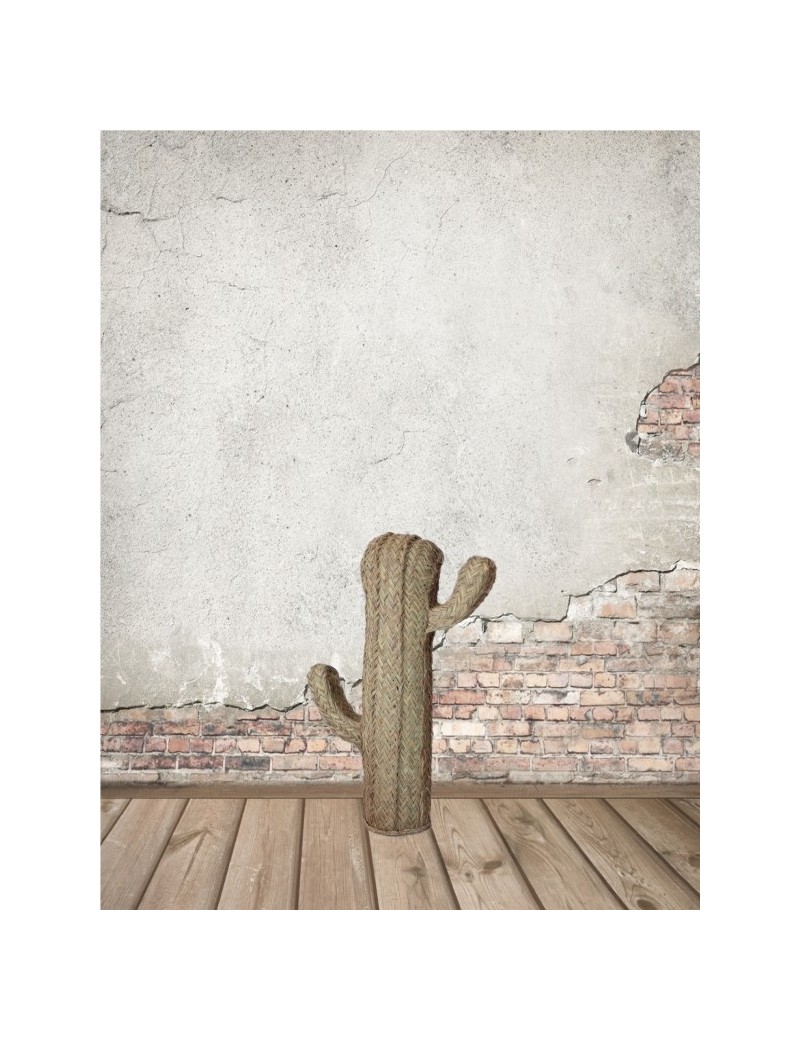 Cactus esparto ecológico natural | Sottovento
