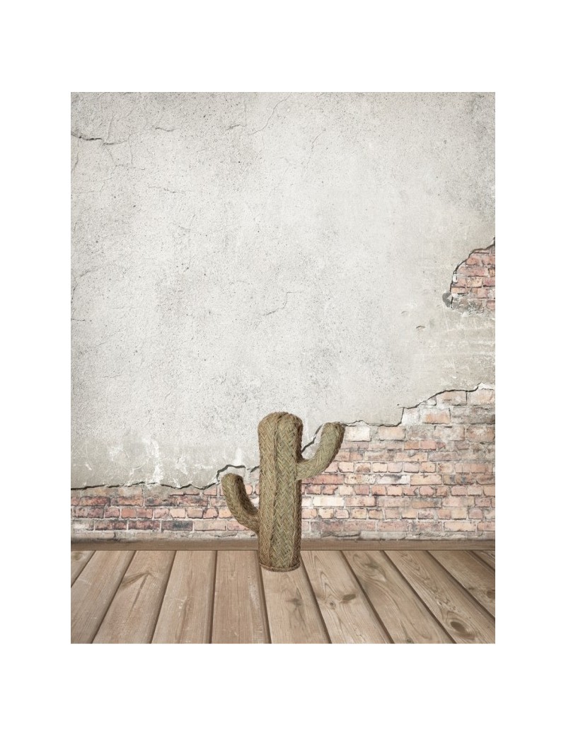 Cactus esparto ecofriendly natural | Sottovento