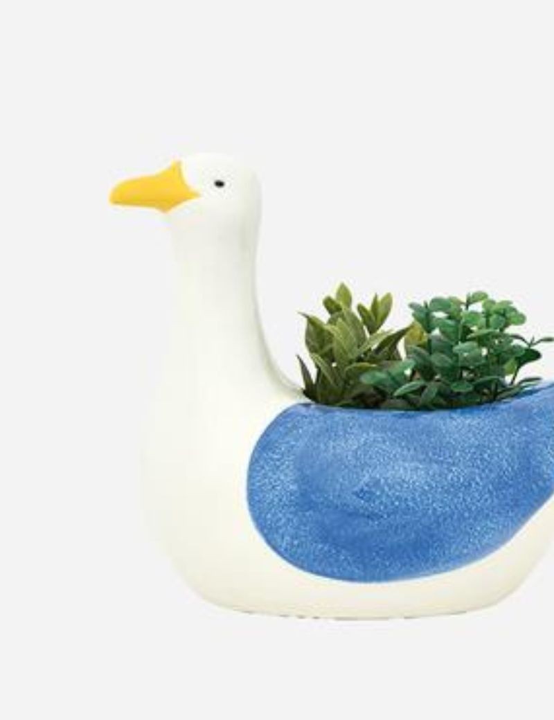 Bote gaviota de gres bleu ciel | Sottovento