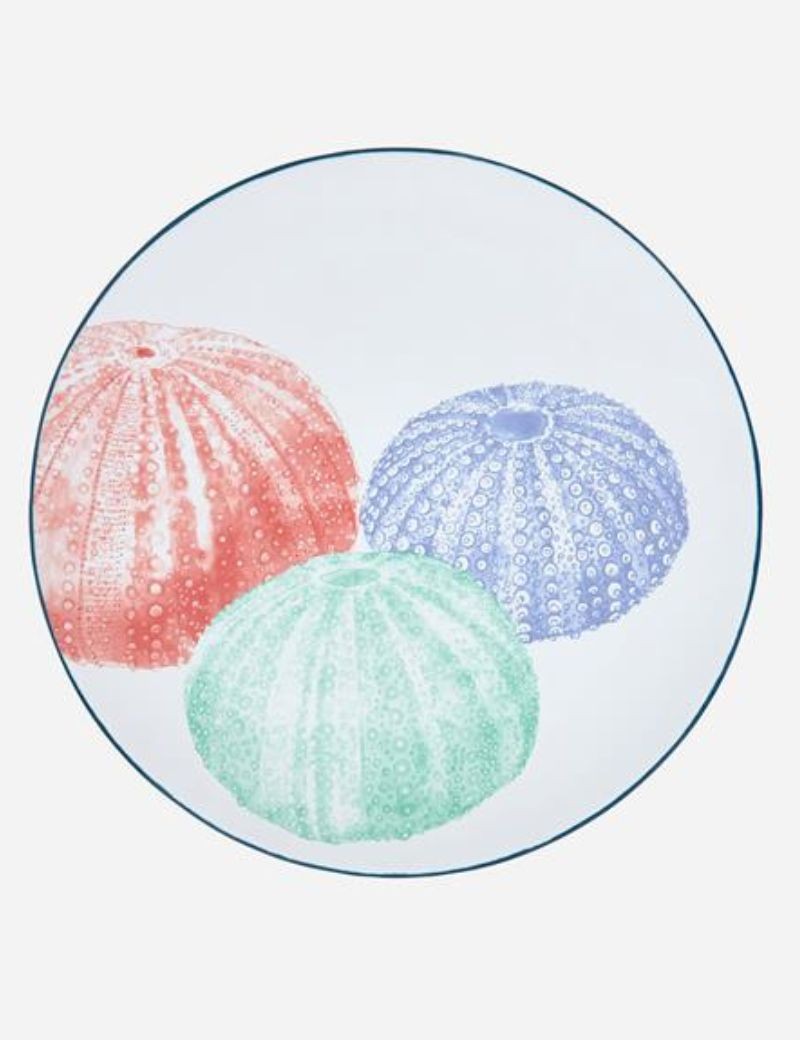 Plato grande erizo de mar azul | Sottovento