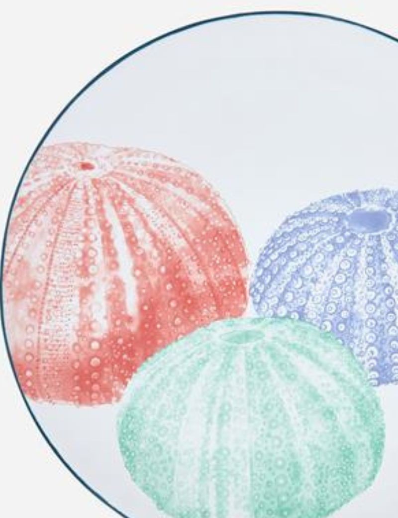 Plato grande erizo de mar blue | Sottovento