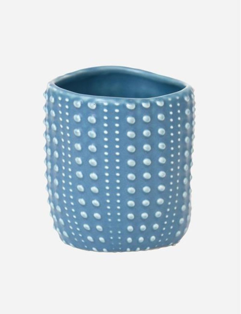 Taza erizo de mar bleu | Sottovento