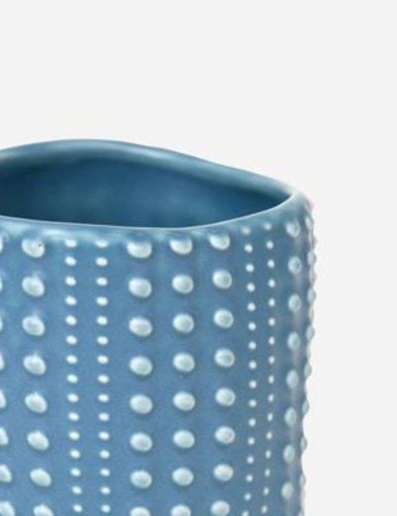 Taza erizo de mar blu | Sottovento