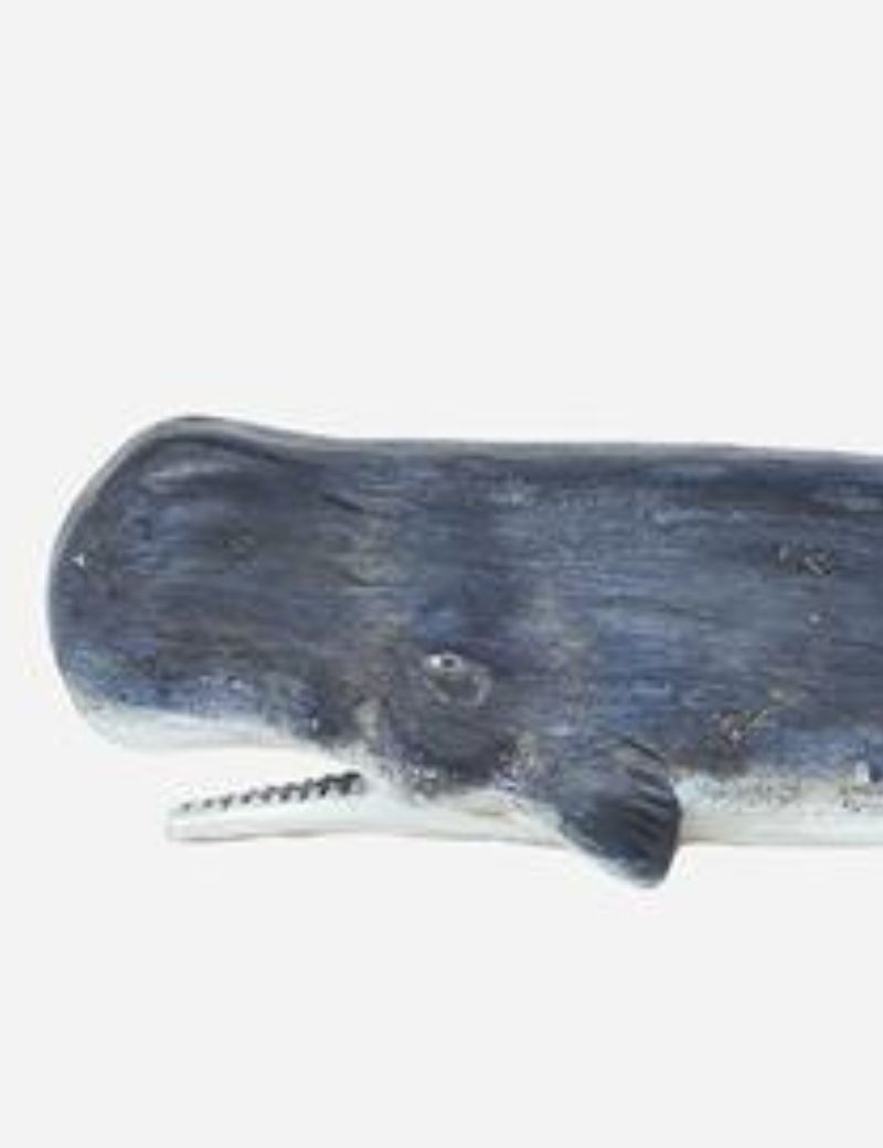 Cachalote navy blue | Sottovento