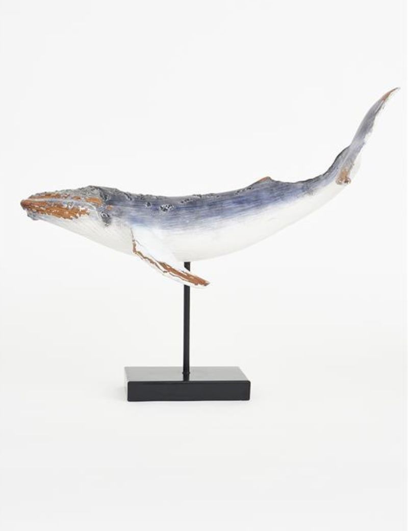 Ballena con base gris | Sottovento
