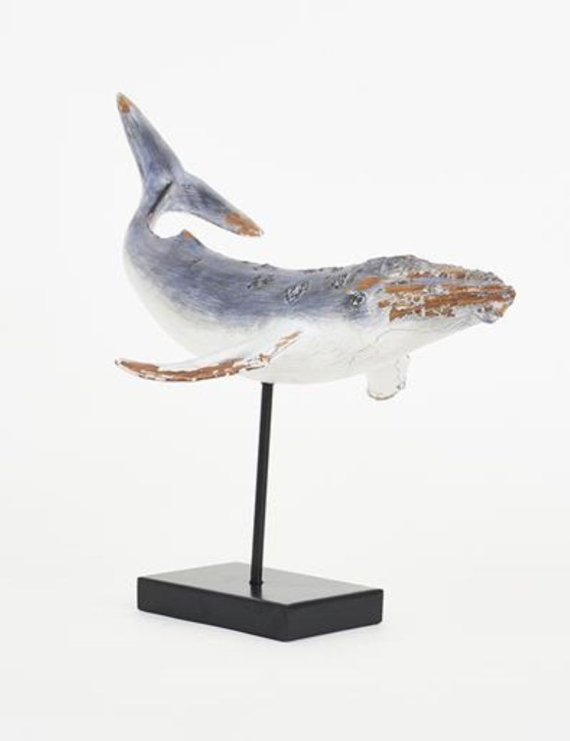 Ballena con base gris | Sottovento
