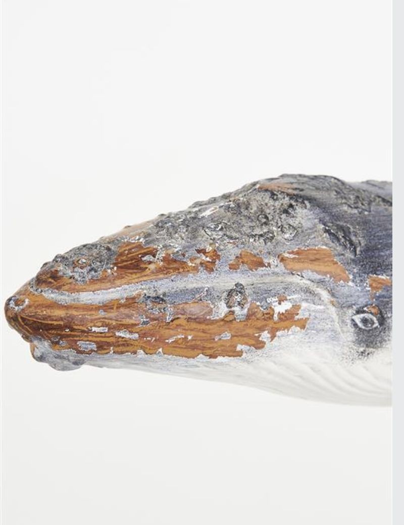 Ballena con base gris | Sottovento